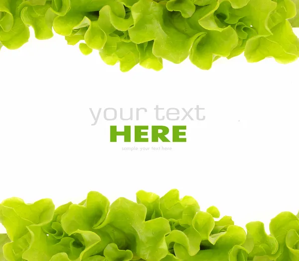 Čerstvý zelený salát rám — Stock fotografie