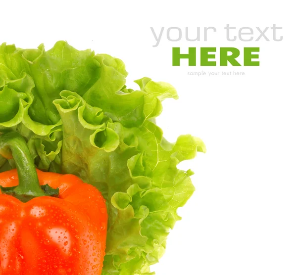 Paprika, és saláta levél — Stock Fotó