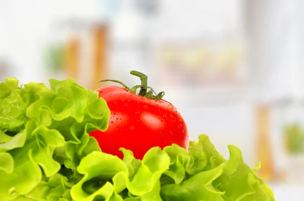 Tomaat op salade blad — Stockfoto