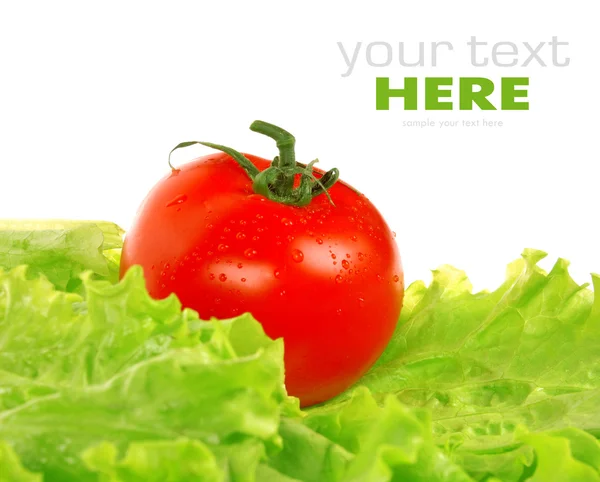 Tomat pada daun salad — Stok Foto