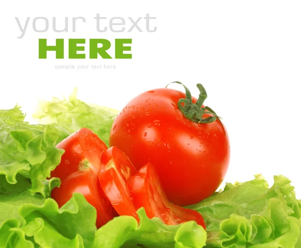 Tomato on salad leaf — Stock Photo, Image