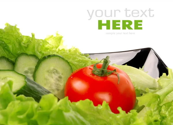 Salade, tomaat, komkommer, salade leaf op schotel — Stockfoto
