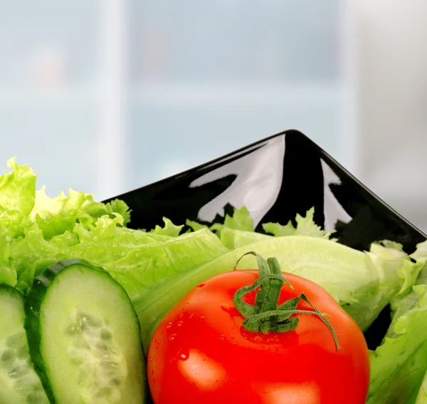 Tomate, salada, pepino, folha de salada em prato — Fotografia de Stock