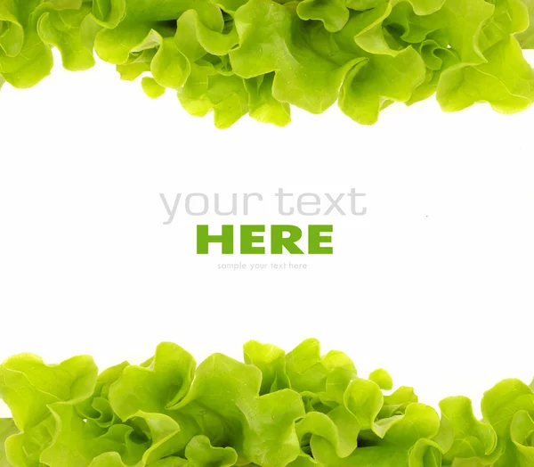 Quadro de salada verde fresco Imagem De Stock