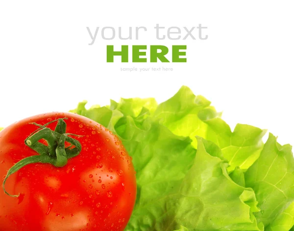 Tomato on salad leaf — Stock Photo, Image
