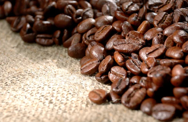 Grano de café — Foto de Stock