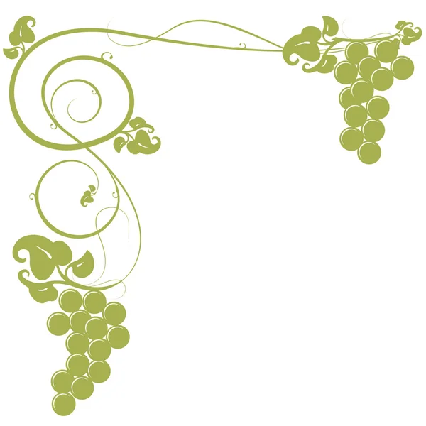 Фоновый виноград — стоковое фото