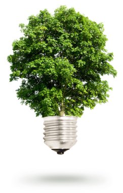 Tree light bulb clipart