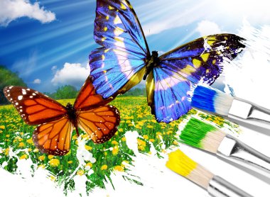 Rawing butterflies clipart