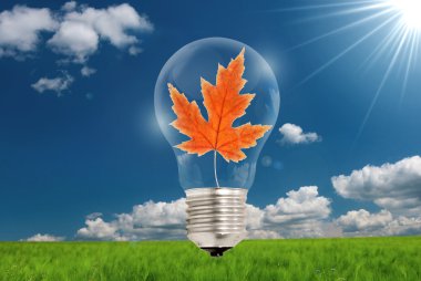 Light bulb with leaf clipart