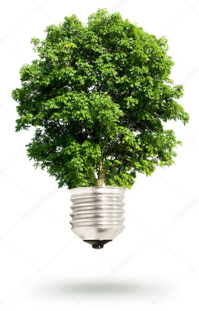 Tree light bulb