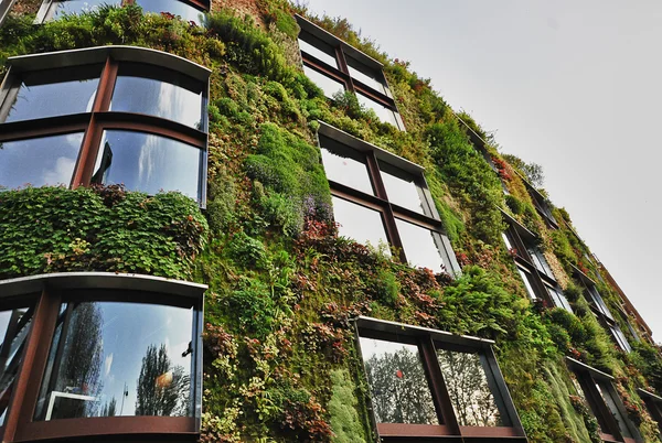 Het groene huis — Stockfoto