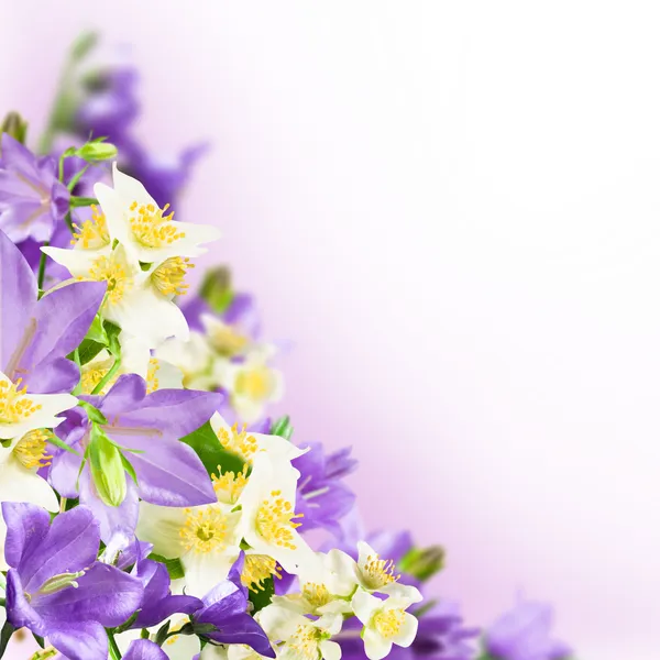 Blomsterklase — Stockfoto