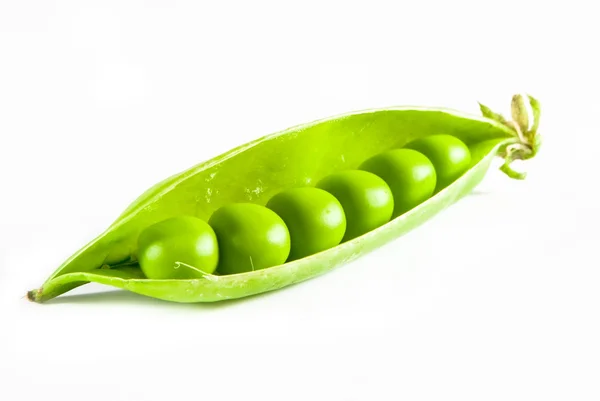 Peas pod — Stock Photo, Image
