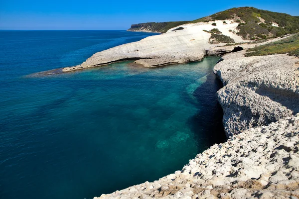 Fehér kréta sziklák erodált tengerpart — Stock Fotó