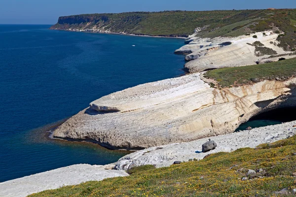 白色粉笔悬崖侵蚀的海岸线 — 图库照片
