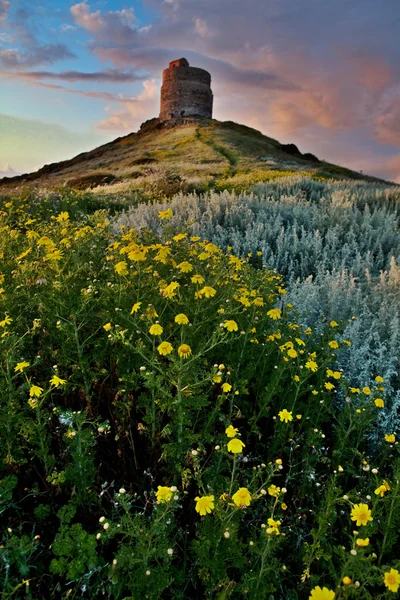 stock image Spring flower field with trail to castle tower