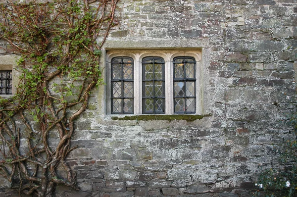 Eski pencere — Stok fotoğraf