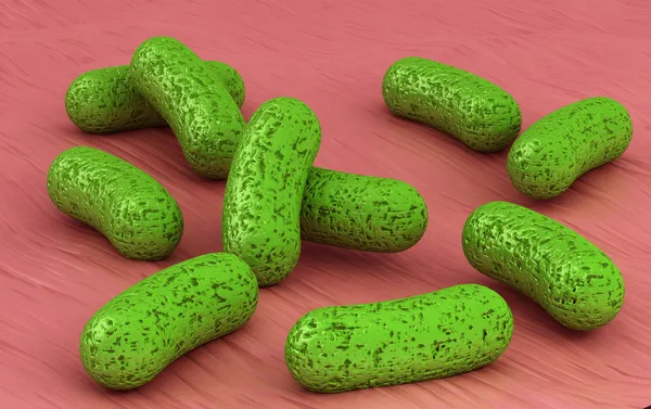 3d bakterielle bakterier under et mikroskop – stockfoto