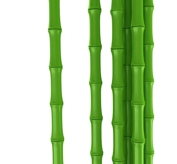 Bamboo stem — Stock Photo, Image