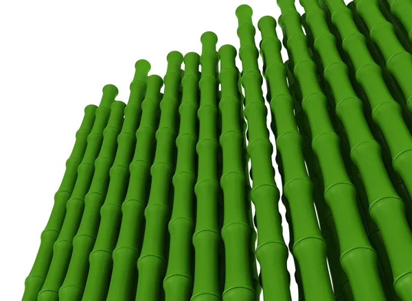 Bambu kök — Stok fotoğraf