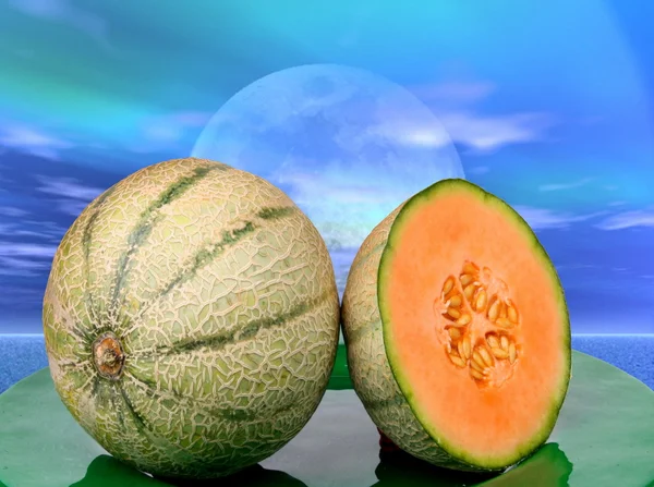 Meloen bij zonsondergang — Stockfoto