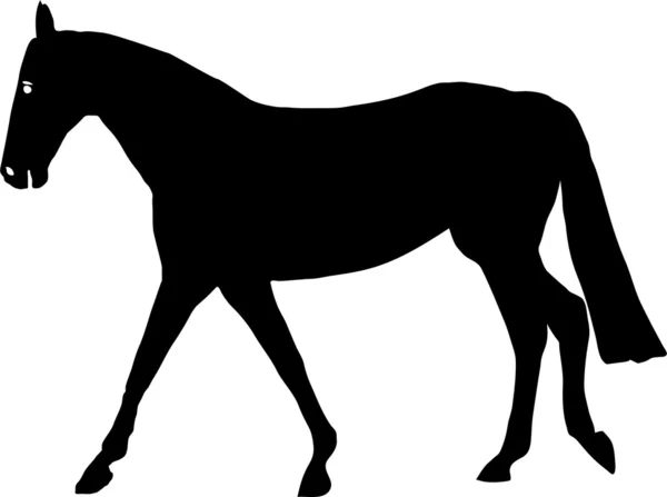 Atlar, Hayvanlar — Stok Vektör