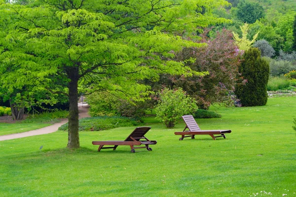 Panchine in un bellissimo parco Foto Stock