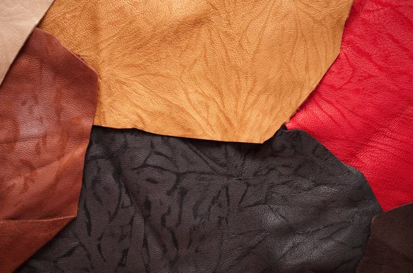 Leather samples — Stock Photo, Image
