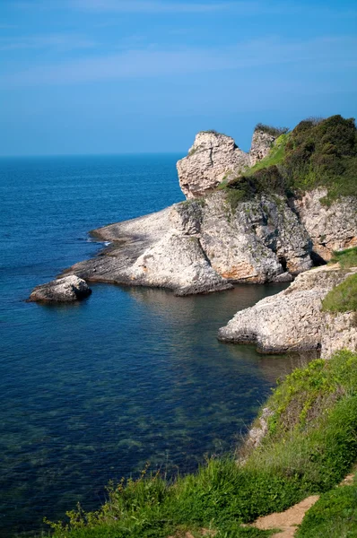 stock image Landscape with sea rocks