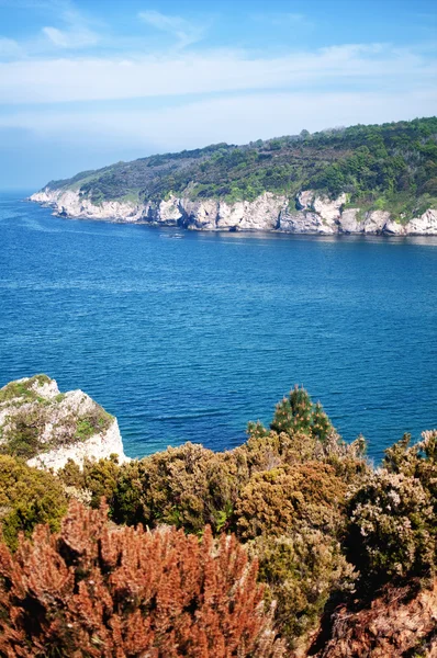 stock image Landscape with coastline