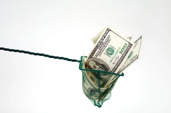 Money in fishing net — Stock Photo, Image