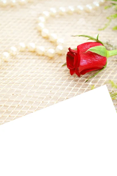 Romantické pozadí s růží a perly — Stock fotografie