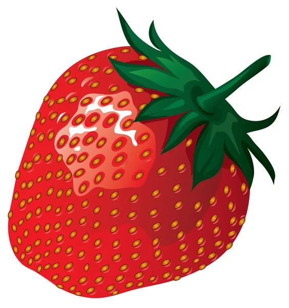 Erdbeer-Illustration — Stockvektor