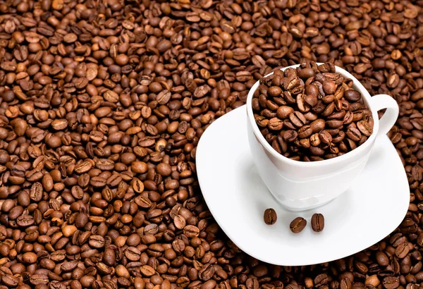 Beyaz fincan kahve çekirdekleri ile dolu — Stok fotoğraf