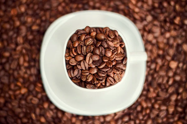 Tasse blanche remplie de grains de café — Photo