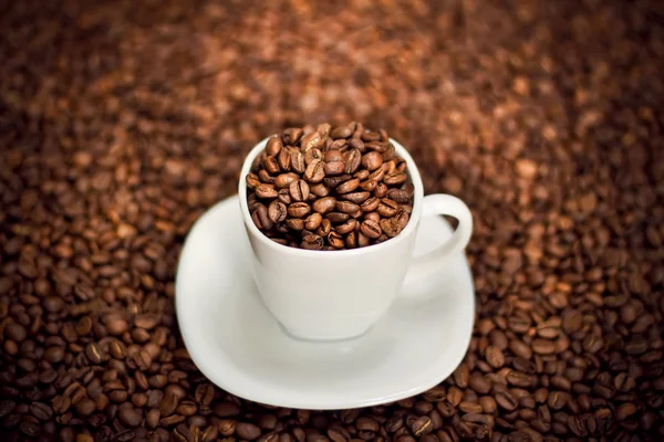 Copa blanca llena de granos de café — Foto de Stock