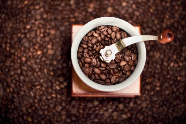 Moulin à café avec grains de café — Photo