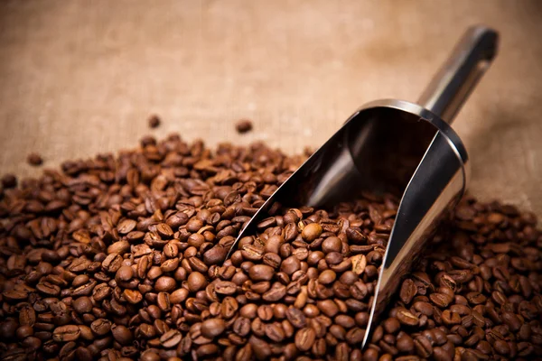 Colher de aço nos grãos de café — Fotografia de Stock
