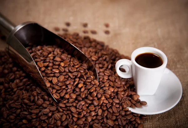 Branco copo e colher em grãos de café — Fotografia de Stock