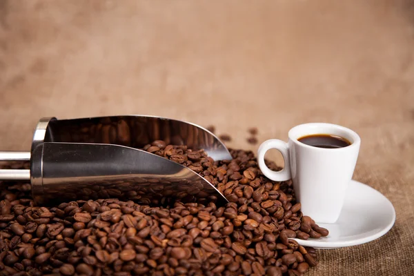 Tazza bianca e scoop in chicchi di caffè — Foto Stock