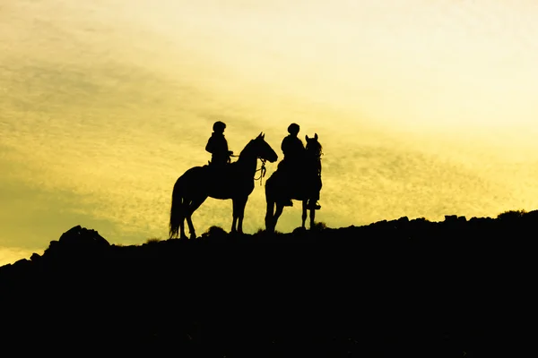 Silhuett av två hästar med ryttare — Stockfoto