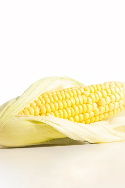 Закрыть свежую кукурузу — стоковое фото