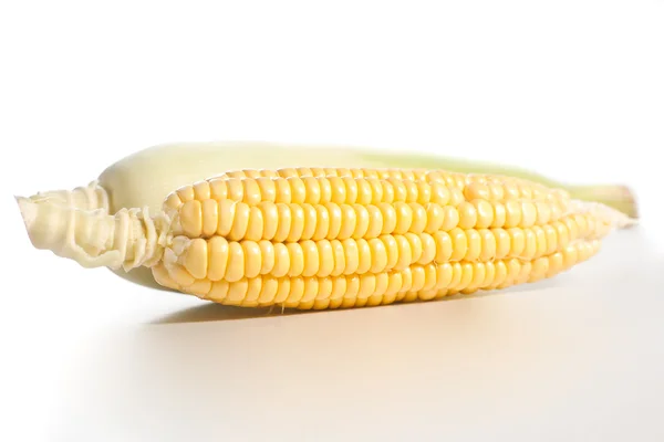在白色背景上的新鲜玉米 — 图库照片