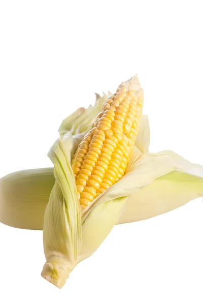 Färsk majs — Stockfoto