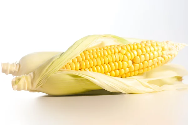 Свіжої кукурудзи — стокове фото