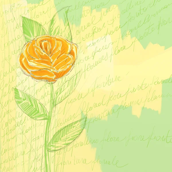 Orange blomma bakgrund — Stockfoto