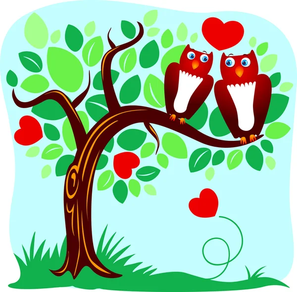 Owls in love — Stock Photo, Image