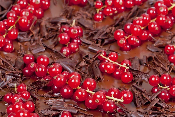 Red currant with chocolate — Stock Photo, Image