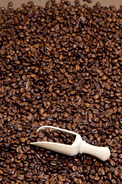 Zátiší kávových zrn — Stock fotografie